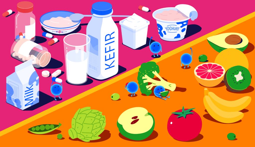 Probiotika: Hvilke typer er bedst for din krop?