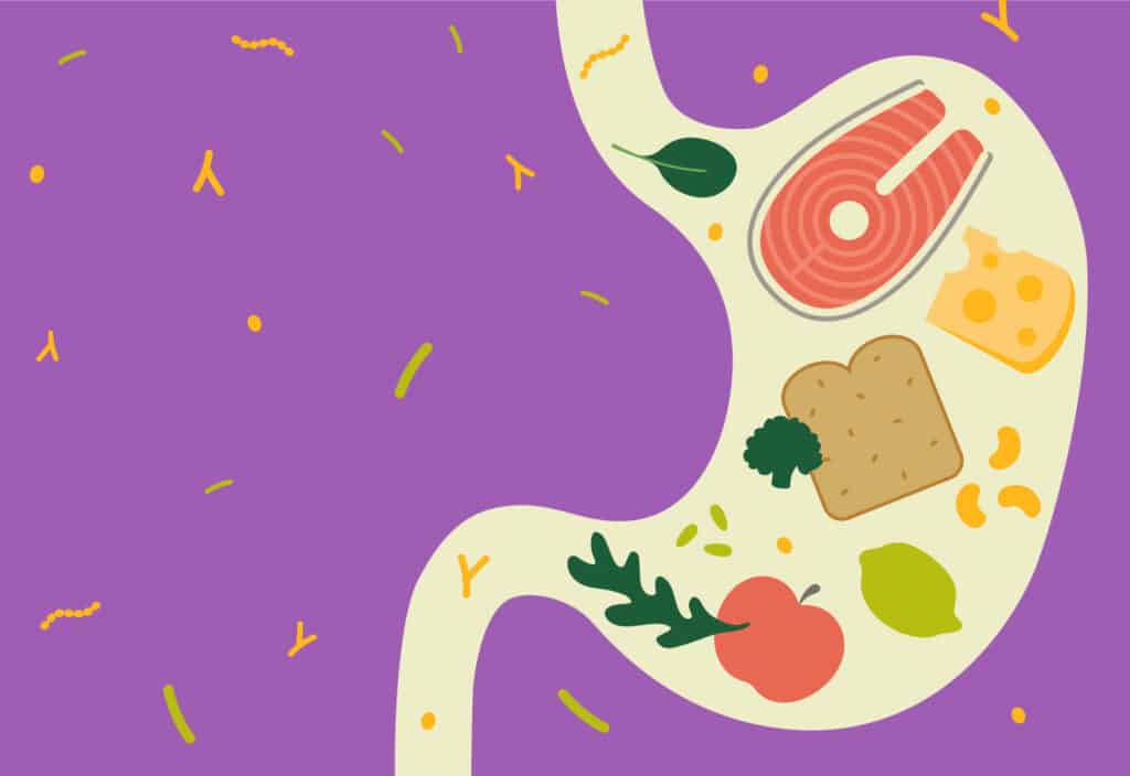 Sund fordøjelse: Sådan kan fibertilskud hjælpe med at øge tarmbevægelserne