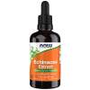 NOW Foods - Echinacea-ekstrakt - 59 ml