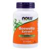 Boswellia Extract 500 mg