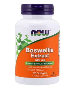 Boswellia Extract 500 mg