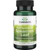 Full Spectrum Spearmint Leaf