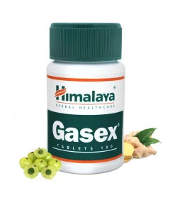 Gasex - 100 tablets