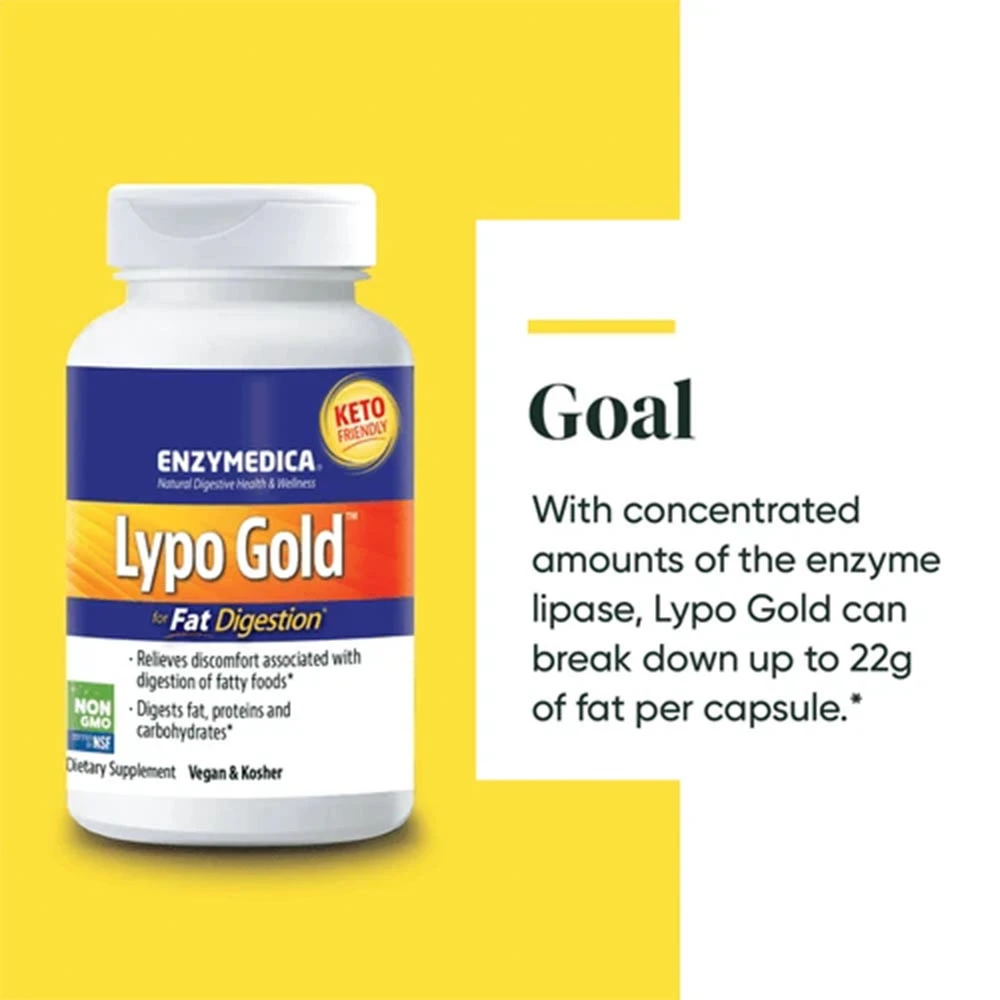 Lypo Gold – 60 capsules - Image 8
