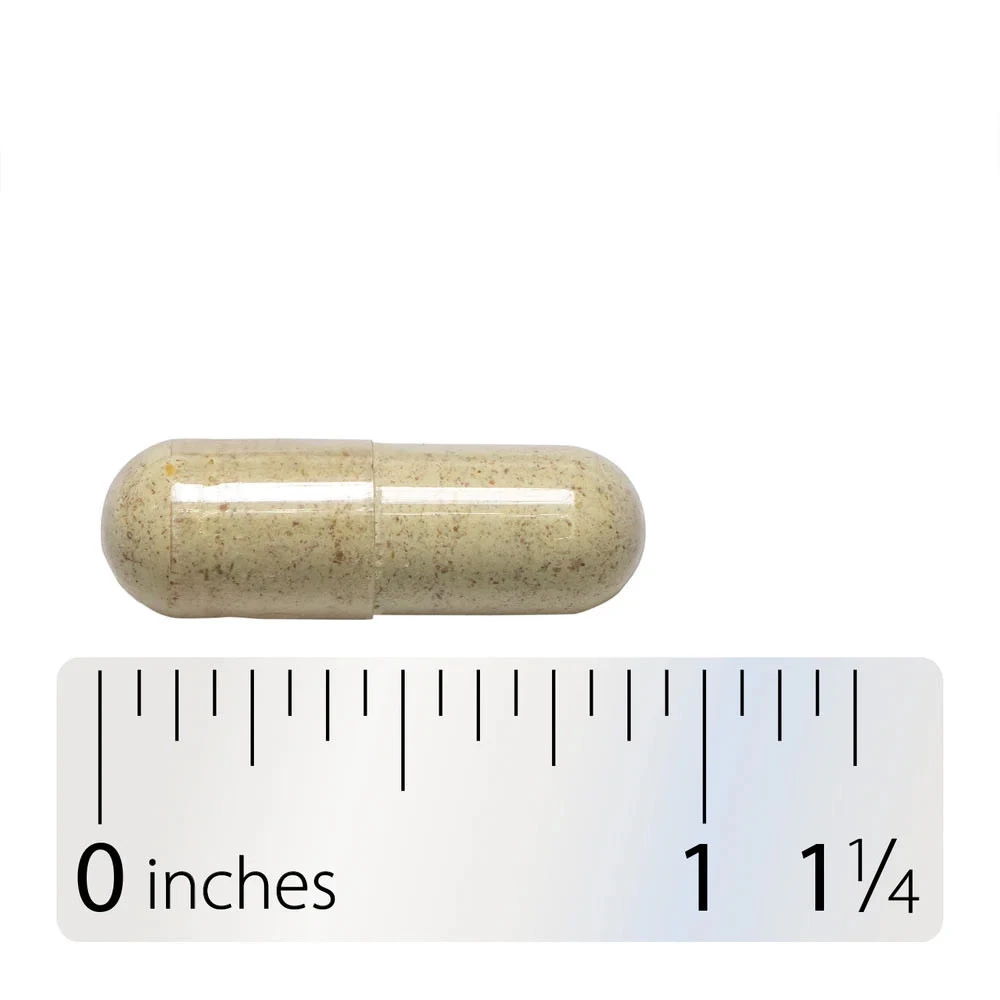 Nature's Way – Fennel Seeds – 100 Capsules – Traditional Herbal Support - Image 6