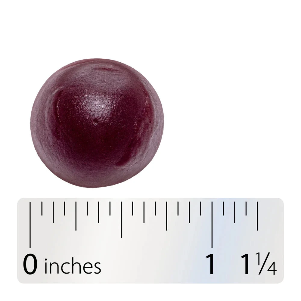 Nature's Way – Quick Calm Gummies – Berry 60 stk - Image 6