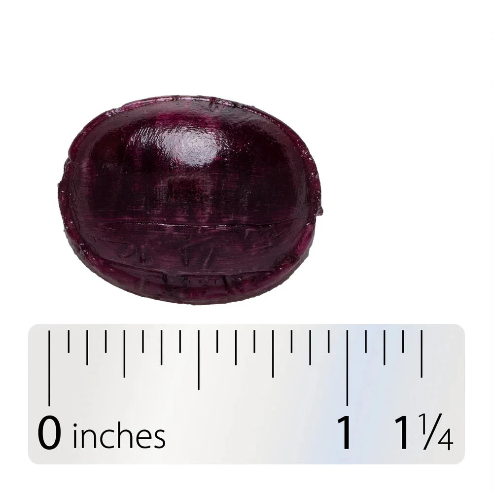 Natures Way – Sambucus Immune Organic Pastilles – 24 pcs - Image 6