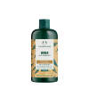 The Body Shop Ginger Anti-dandruff Shampoo (400 ml)