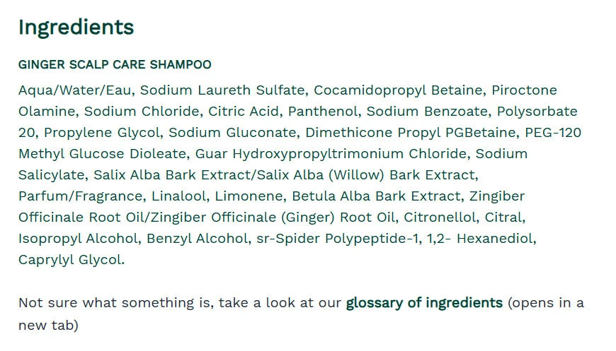 The Body Shop – Ginger Scalp Care Shampoo – 250 ml - Image 2