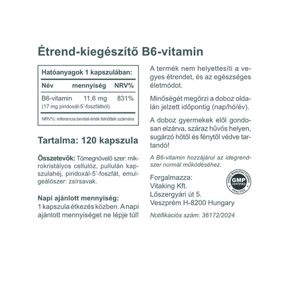 Vitaking – Vitamin B6 P5P – 120 capsules - Image 2